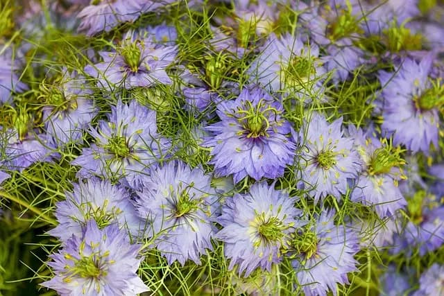 10 conseils mode pour choisir les couleurs qui vous mettent en valeur